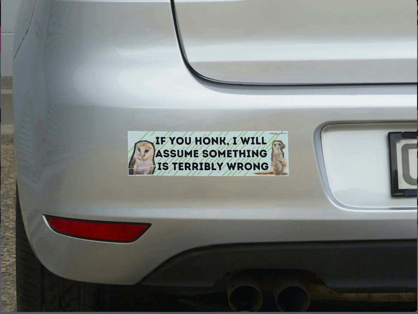 Anxious Girl Driving Sticker – “If You Honk I’ll Panic” Owl & Mercat Edition